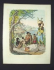 [Colour plate]