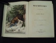 [Illustrated book. Colour plates] Wagner, Hermann