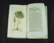 [Colour plates of flowers] [Palmstruch, Johan, Wilhelm]  / [Wahlenberg, Gran] / Kongl. Vetenskaps Academien.