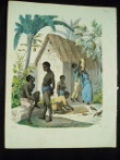[Colour plate]