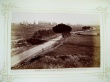 Olivieri