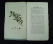 [Colour plates of flowers] [Palmstruch, Johan Wilhelm]