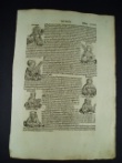 [Schedel, Hartman]