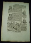 [Schedel, Hartman]