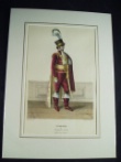 [Colour plate] Schtzercrantz, A[dolf]