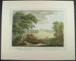 [Colour plate] Verner, F
