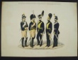 [Colour plate] Schtzercrantz, Ad.