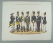 [Colour plate] Schtzercrantz, Ad.