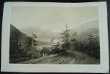 Mayer, A / Tirpenne/ Gaimard, Jean-Paul