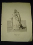 [Plate] Schützercrantz, Adolf