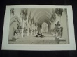 [Plate] [Gaimard, Joseph-Paul]