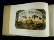 [Plate book] Klingspor, Carl Arvid / Schlegel, Bernhard
