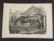 [Plate] Kirboe, [Carl, Fredrik]