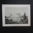 [Plate] Hallbeck. C. S.