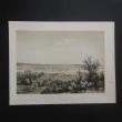 [Plate] Hallbeck. C. S.