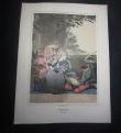 [Colour plate] Zawitz, W [publisher]