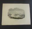 [Colour Plate] Forssell, Christian.