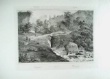 [Plate] Anckarsvrd, M. G.